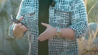 چرا اپل دیگه آیفون نمیفروشه؟