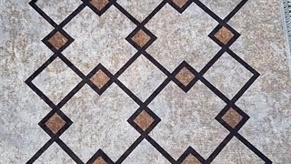 پادری صائب بیضی