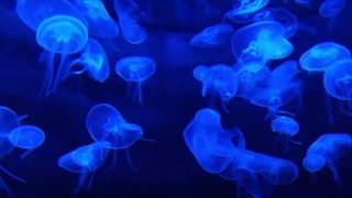 ضعیف آدمی ...