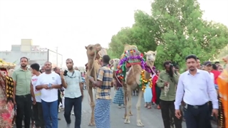 کلیپ پایانی