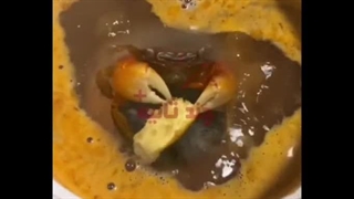 شام آخر/ غذا خوردن تلخ خرچنگ حین پخت شدن در داخل قابلمه