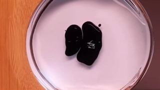 ونوم در دنیای واقعی