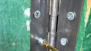 نوک پیچ گوشتی