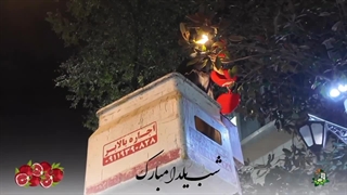 یلدا کشیدن دندان