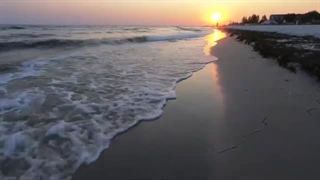 شعر زیبا از صائب تبریزی | Shams Shifta