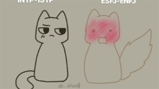 کیوت ترییین واکنش :))))