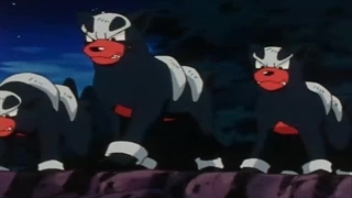 Pokémon Season 3 Episode 34