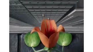 ارزششو داشت