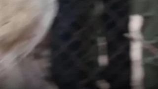 دانلود سریال مرداب قسمت۱۰ / امیر جعفری مرداب