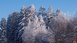 بهترین موسیقی های بی کلام جهان_Instrumental music_شماره:301