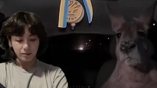 ادیتی فان از جونکگوگ که میلیونی لایک خورد،⁦^_^⁩