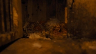 دانلود رایگان فیلم سفر دمتر2023