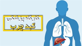 کبد چرب: چگونه می‌توانید از این مشکل پیشگیری کنید؟