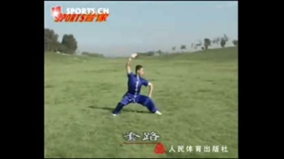 قسمتی از فرم سنتی و مسابقاتی سبک چاچوان