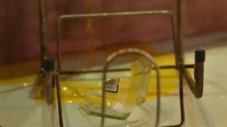 دانلود رایگان فیلم سینمایی راما باما دوبله فارسی