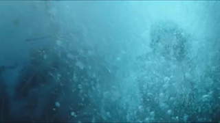 قسمت ۵ سریال چینی جهش 2023 The Mutations از بهترین های ۲۰۲۳