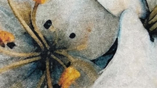 فرش طرح گل سفید