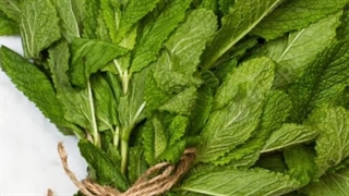 باندلینگ برای دسته کردن سبزی