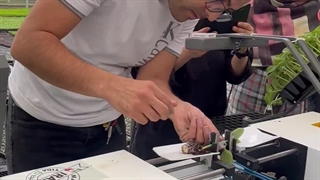 ربات پیوند زن گلخانه - ماشین پیوند نشا