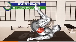 بدنسازی در خانه ۴ ( دستگاه ورزشی تناسب اندام سریع در توضیحات )