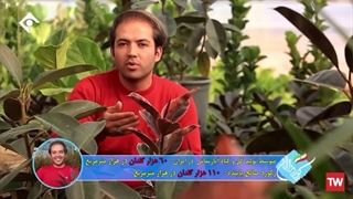 برنامه رکودداران شبکه یک سیما با حضور صالح پاینده جوان گلکار محلاتی
