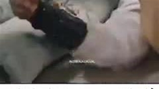 عاشقانه ی ببر و  گل‌ رز