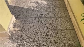 محوطه سازی با استفاده از واش بتن آنتیک سالار