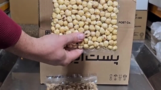 پک پیشنهادی خشکبار استور