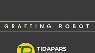 انواع نشا پیوندی درجه یک با سیستم ریشه قوی