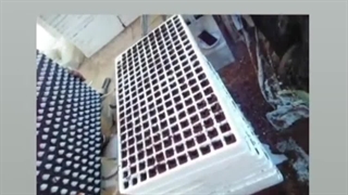 ایجاد حفره در سینی نشا، روش دستی و مکانیزه