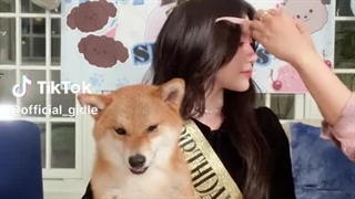 تولد شوهوا جی آیدله