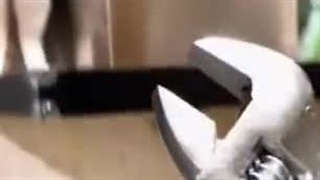 cat workerکارگر گربه