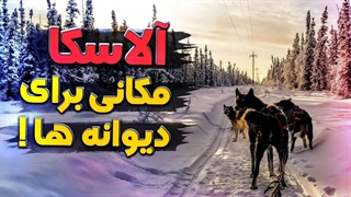 آلاسکا مکانی برای دیوانگان | آلاسکا کجاست؟