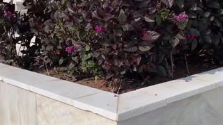محوطه سازی با استفاده از واش بتن آنتیک سالار