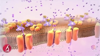دیابت نوع یک و انسولین / هایپرگلیسمی