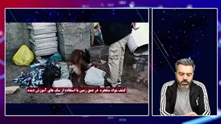 آقای تحلیلگر/وزارت اطلاعات : انتحاری اول بوزروف اسرائیلی از ترکیه آمده بود/ فیلم بازداشت 35 عامل کرمان منتشر شد