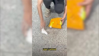 تور والیبال در آب