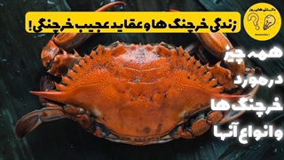 زندگی خرچنگ ها و عقاید عجیب خرچنگی!