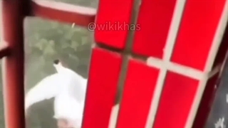 دیده شدن ققنوسِ سفید در هند