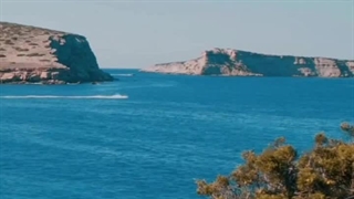 داخل پست یه معما هم هست هر کی متوجه شد کامنت کنه 