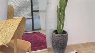 فرش گبه مرداس