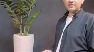 آموزش نگهداری زاموفیلیا