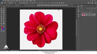 ساخت پترن در فتوشاپ