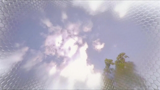 دانلود رایگان فیلم سینمایی مرد در مقابل زنبور