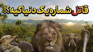 بنظر شما قاتل شماره یک دنیا چه موجودیه؟ تا چه حد می‌تونه خطرناک باشه که صدر جدول قرار بگیره؟