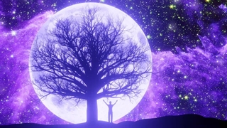 رازی که دکتر ویکتور فرانکل درباره حقیقت زندگی فریاد زد و کسی نشنید