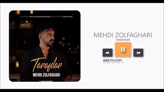 مهدی ذوالفقاری طرفدار