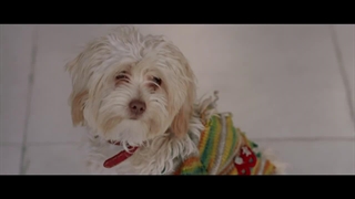 سریال سالهای دور از خانه قسمت اول لینک دانلود در توضیحات