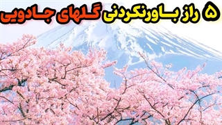 گلهای شگفت انگیزی که هرگز ندیده اید!