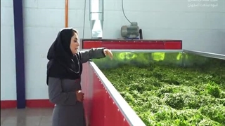 دستگاه خشک کن استخری مخصوص سبزیجات و گیاهان دارویی انبوه 09138900047